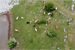 DJI_0316