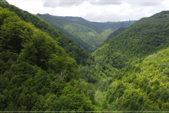 DJI_0365