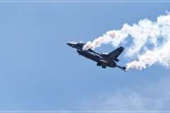 DSC_2735a